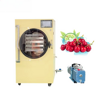 Low Price Home Sized Freeze Dr - Commercial Kitchen In Home review and price