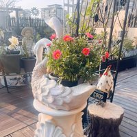 Swan Shaped Garden Animal Stat - Commercial Kitchen In Home review and price